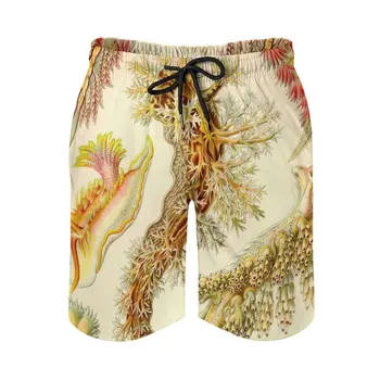Babosa-Ernst Haeckel los Hombres del traje de baño de secado Rápido de Voleibol de Playa, pantalones Cortos Con Bolsillos Para los Hombres 18 19 Kunstformen Der Natur