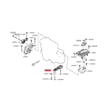 Parte trasera Inferior del Motor de par de Torsión Strut Mount para el Nissan Juke Sentra Tiida 2011-2019 Motor de Amortiguamiento de la Asamblea