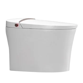 Caliente de las ventas de Baño precio de fábrica de blanco, moderno, mintelligent smart eléctrico de una pieza de baño bidet